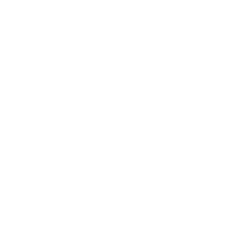 logo system professional
